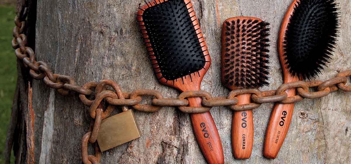 Desktop Featured Image 1200w x 560h px.jpg