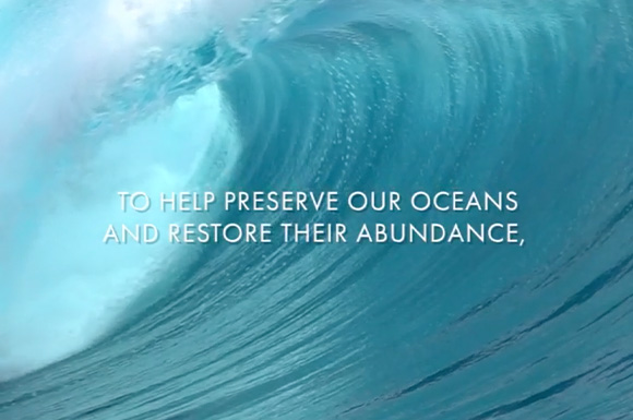 Moroccanoil Article Image 580w x 385h px.jpg