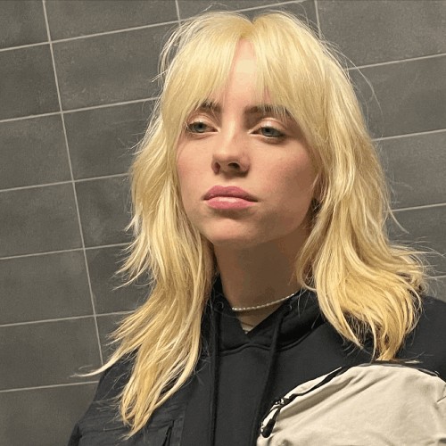 short-billieeilish-500x500.jpg